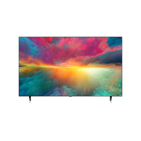 LG QNED TV 65인치 (스탠드 or 벽걸이)